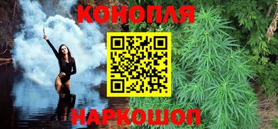 прущие грибы Гагарин