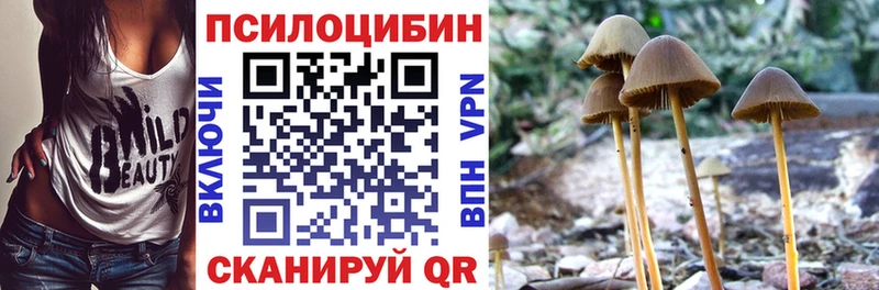 Псилоцибиновые грибы MAGIC MUSHROOMS  купить  сайты  Муравленко 